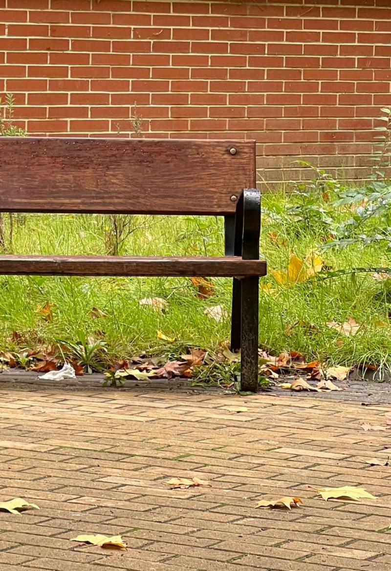 Dentro de mi Soledad