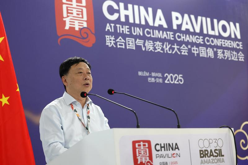 The rise of the electric dragon