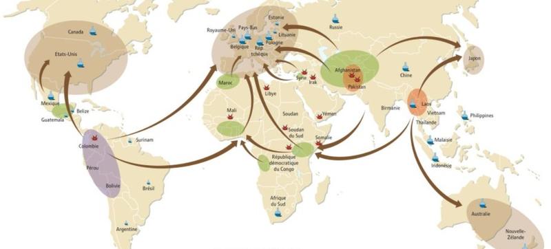 Dünya Çapında Uyuşturucu Trafiği
