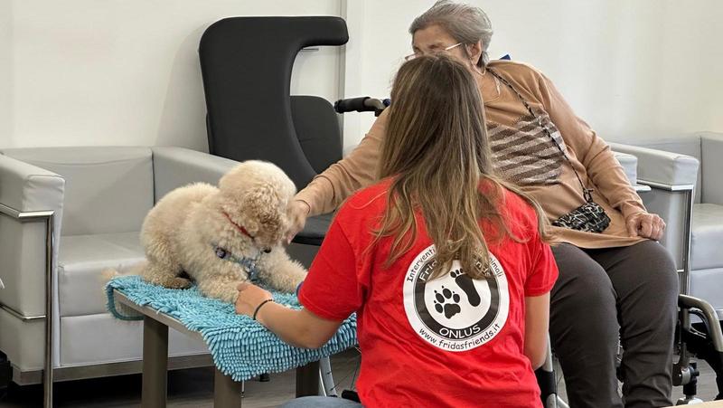 Si fa nominare amministratore di sostegno della zia e le porta via 300mila euro dal conto: nipote a processo per peculato, ma ora è sparito nel nulla