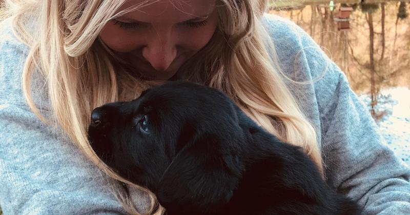 The Healing That Happens Beside a Dog The Healing That Happens Beside a Dog