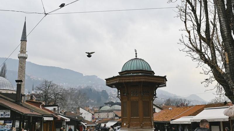 Gizakien ehizaldi Gizakien ehizaldi