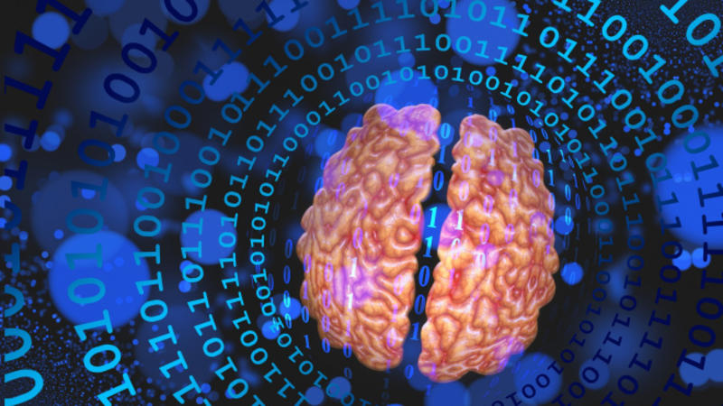 Neuroderechos: La UNESCO en el laberinto de la tecnología