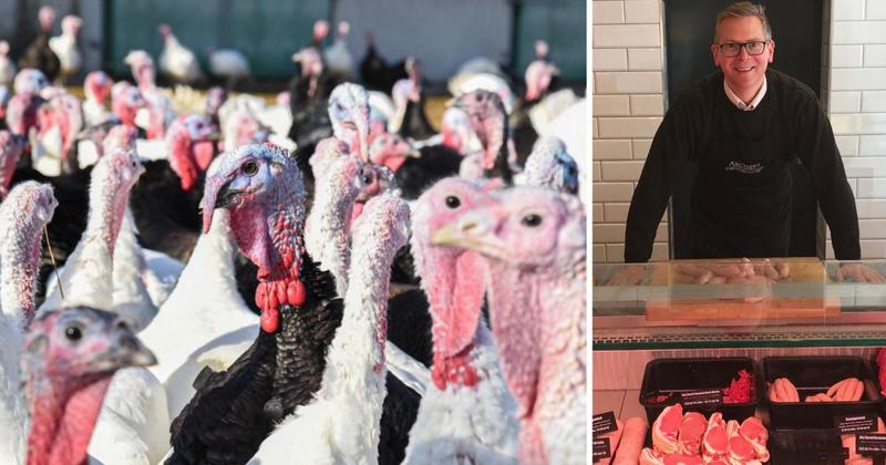 Bird flu outbreak hits butcher's Christmas turkey supplies