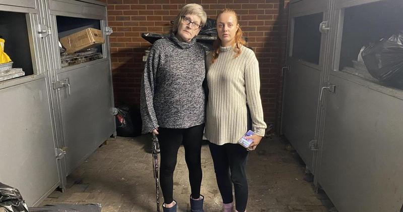 Pest control called to flats after rats and maggots seen by bins