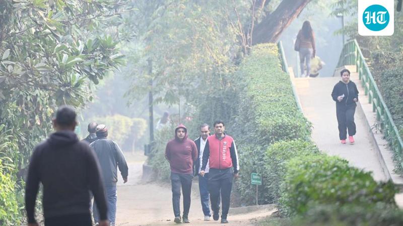 What pollution in Delhi means for senior citizens