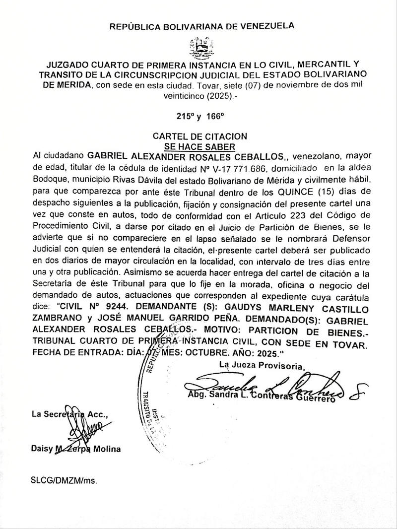 Cartel de citación al ciudadano GABRIEL ALEXANDER ROSALES CEBALLOS, titular de la cédula de identidad N° V-17.771.686