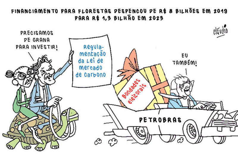 Falta bufunfa para investir nas florestas