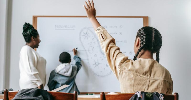 Why Role Models Matter