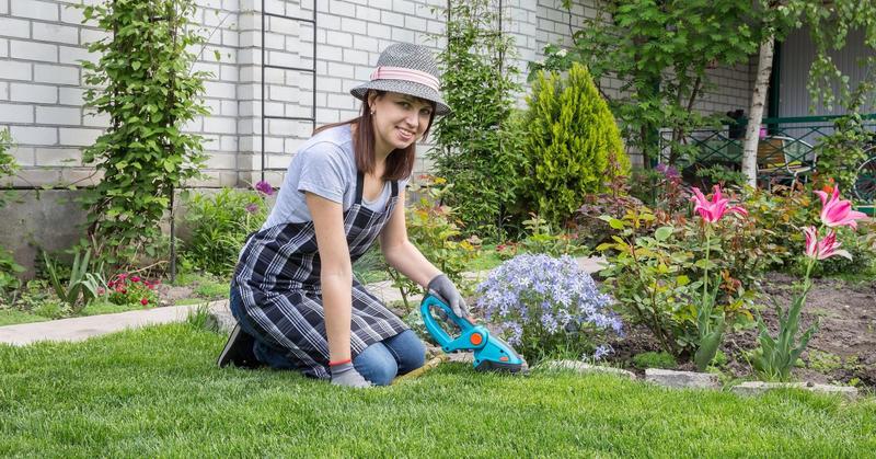 The Gardener's Mind: Cultivating the Life You Want