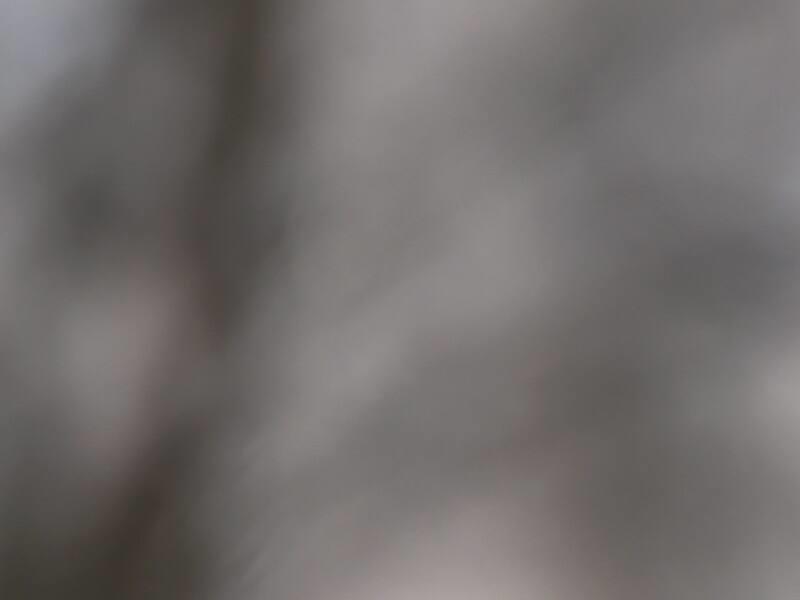 Après les jeux et les cigarettes, le braconnage