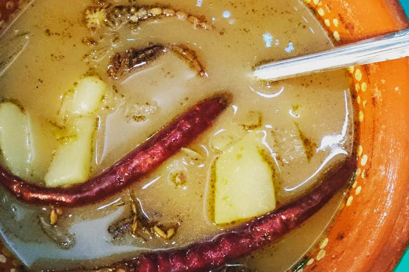 Sopa de alacranes, por Aglaya Kinzbruner