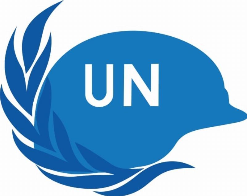 The UN Must Go! The UN Must Go!