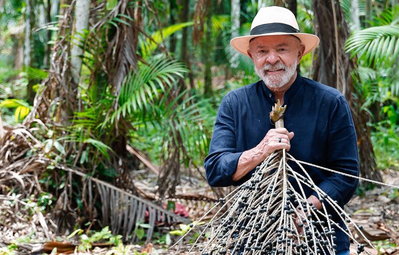 COP 30 e o Fundo de Florestas: um mico amazônico para Lula