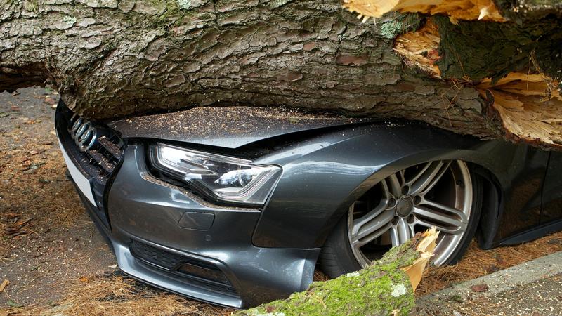 Assicurazioni auto Emilia-Romagna: costi e servizi più gettonati provincia per provincia