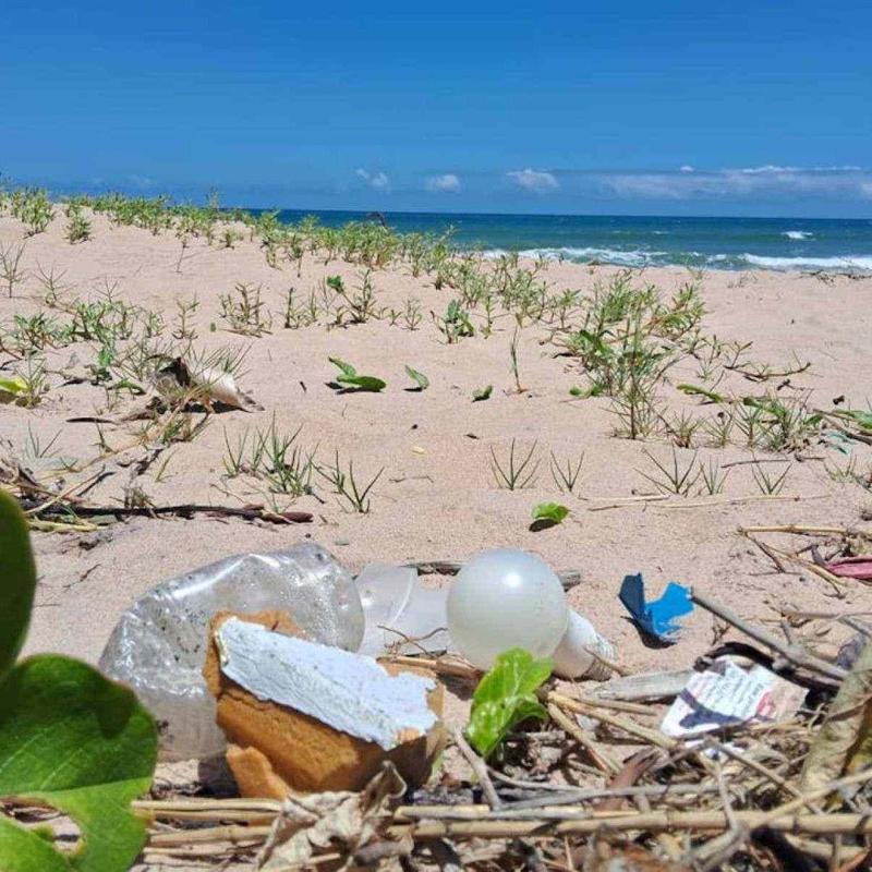 Preservar a natureza também depende de nós!