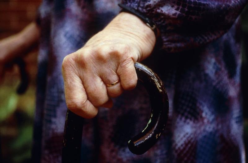 (POGLED) Kolumna Darinke Pavlič Kamien: Zakaj se to dogaja? Smo otopeli? Je empatija motnja, ne več kompetenca? (POGLED) Kolumna Darinke Pavlič Kamien: Zakaj se to dogaja? Smo otopeli? Je empatija motnja, ne več kompetenca?