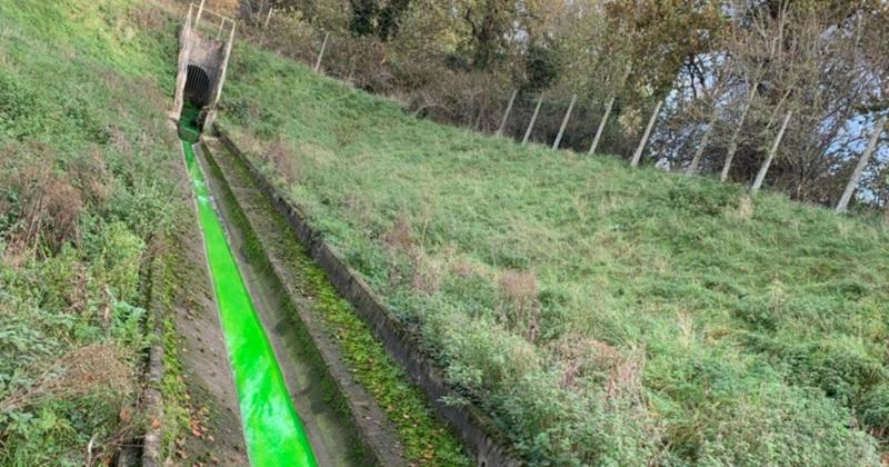Why a Norfolk river could change colour this week