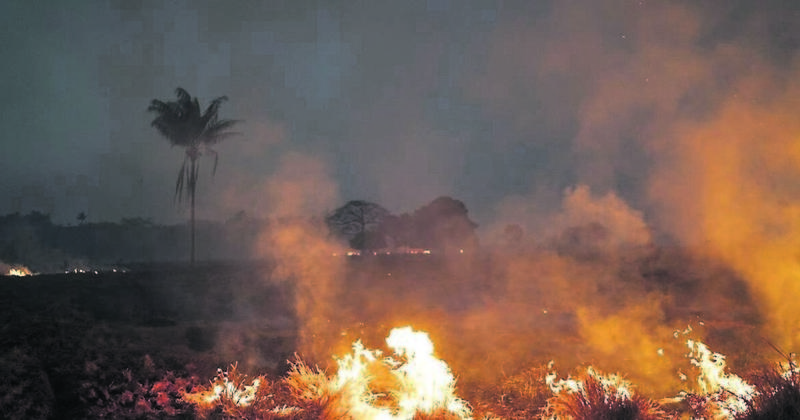 Burning waste? You could be fined €5,000