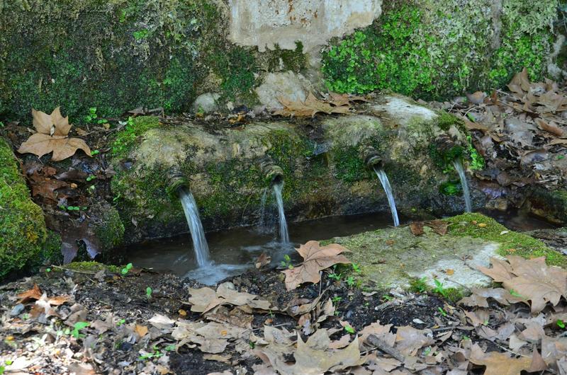 Antibióticos en el agua subterránea: cómo frenar este contaminante emergente