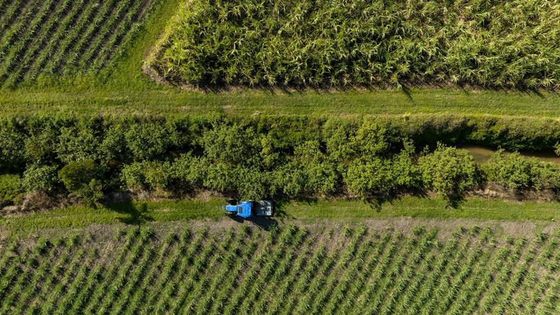 Nature, carbon, nutrition: 3 ways farming can shift from climate culprit to solution