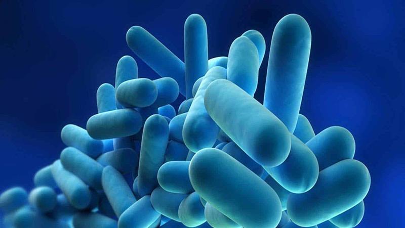 Legionella a San Siro, ecco la mappa del focolaio: colpiti diversi condomini e la caccia al batterio diventa un rompicapo