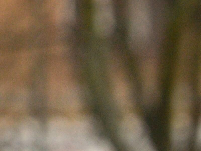 La folie coûteuse de se faire livrer à la maison