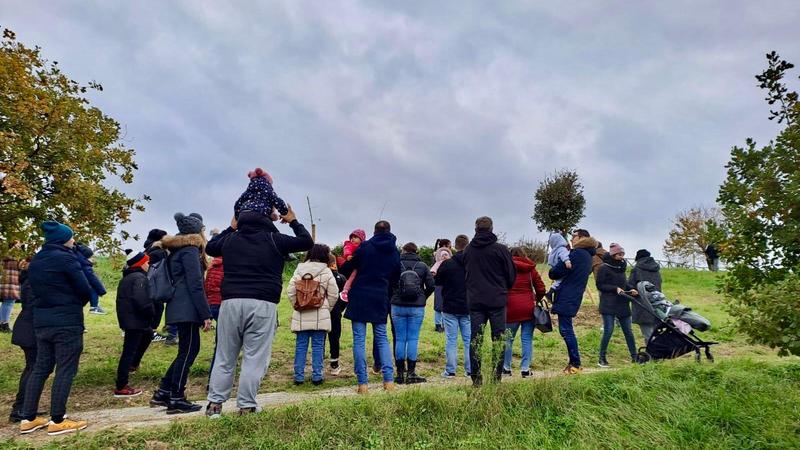 Maiolati Spontini, 32 alberi, uno per ogni nascita, saranno piantumati al parco equestr
