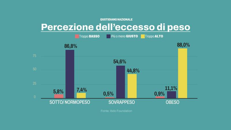 Caccia ai farmaci per dimagrire, ricette false e acquisti sul web. I medici: c’è un utilizzo scorretto