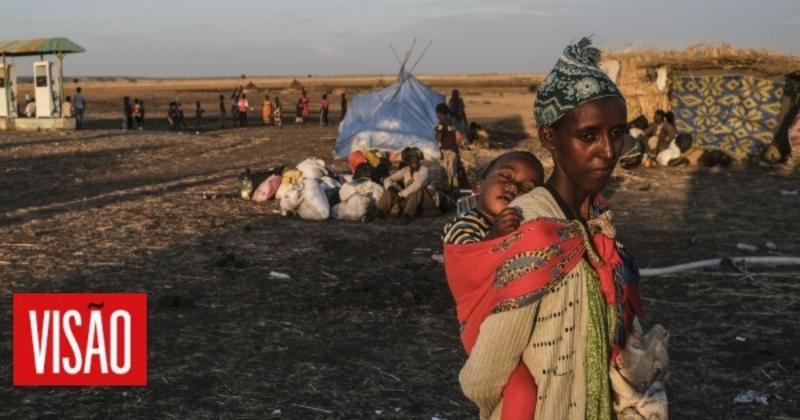 A luta contra o sistema que escolhe quem deve ou não deve morrer é universal