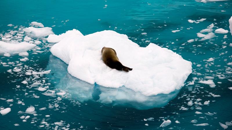 Expedition | Im arktischen Eis verliert sich zuweilen die Erinnerung: Riley James’ „Kälte“