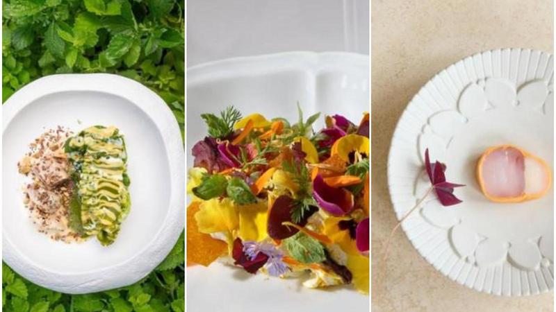 I nuovi ristoranti stellati in Emilia Romagna della Guida Michelin 2026