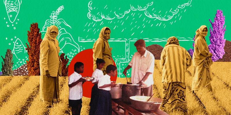 The NDA in Bihar: The Paradoxical Victory of Maldevelopment The NDA in Bihar: The Paradoxical Victory of Maldevelopment