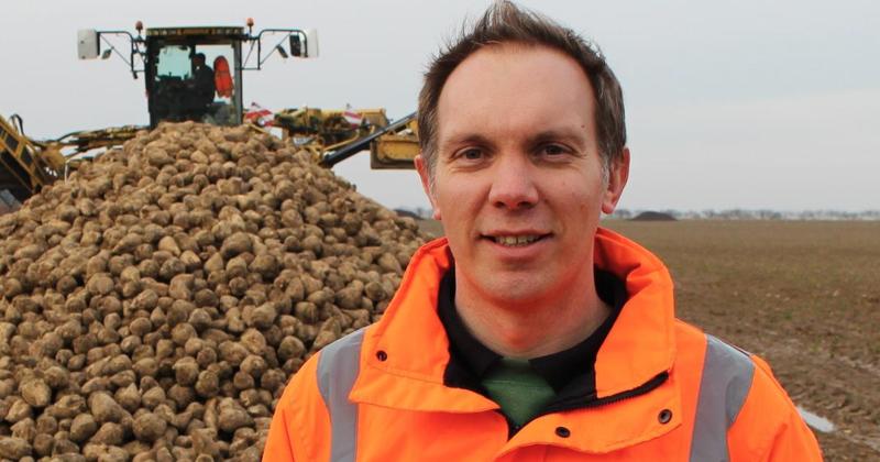 Sugar factories making good progress with surprisingly sweet beet harvest