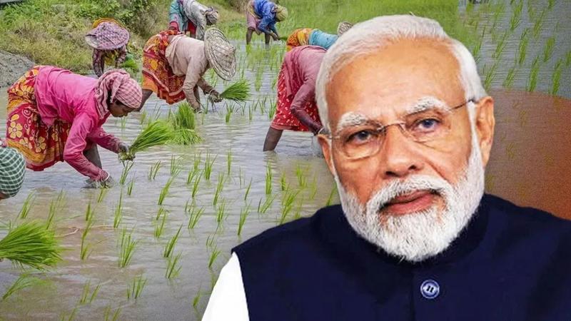 PM Modi to release 21st instalment of PM-KISAN today, farmers to get Rs 2,000 directly in accounts