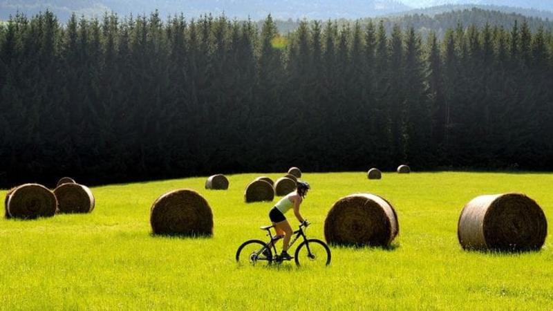 Dalla Regione 1,5 milioni per undici agriturismi bergamaschi