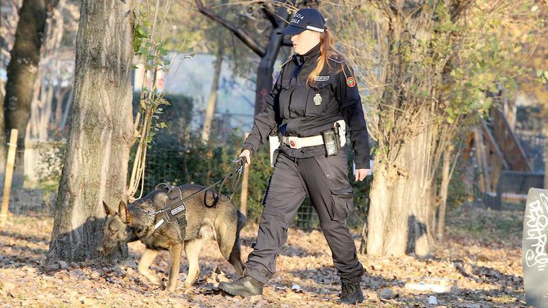 Narco, il cane antidroga terrore degli spacciatori a Monza, va in pensione ma non smette la divisa