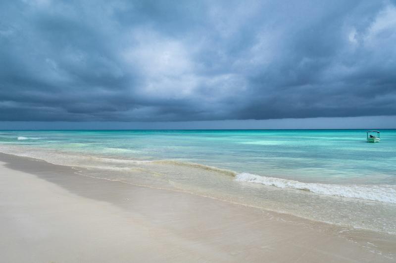 Australia has dropped its bid to host the COP31 climate talks. Here’s what happened – and what’s next