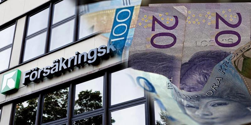 Svensk välfärd inte rustad att stoppa fusket