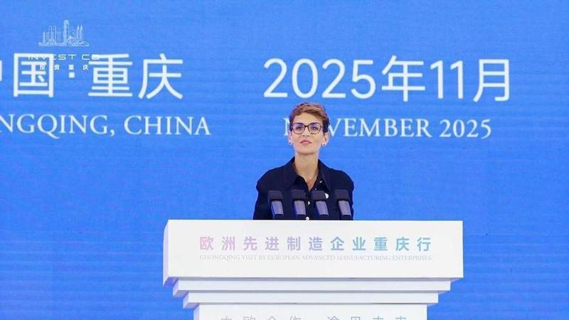 El gato de Chivite El gato de Chivite