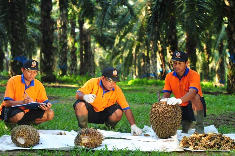 South Korea’s Posco To Buy Indonesian Tycoon Putera Sampoerna’s Palm Oil Business For $885 Million