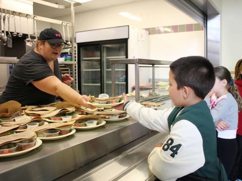 Jesse Kline: Jamil Jivani's right — the National School Food Program is government over-reach
