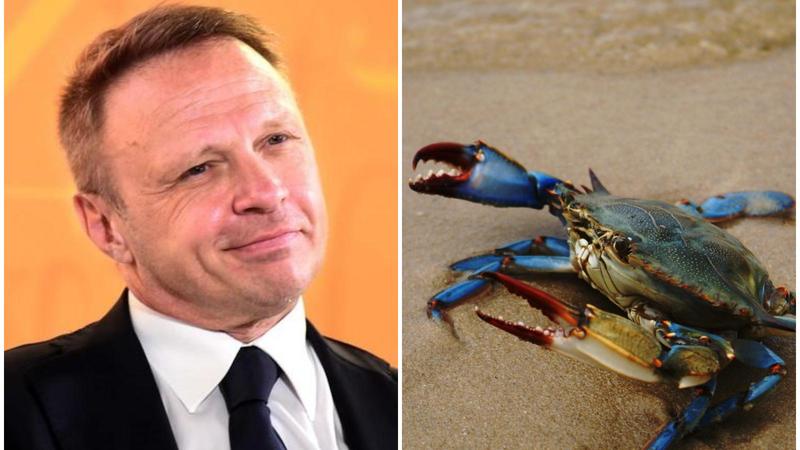 Granchio blu, la rinascita. Il ritorno del ministro a Goro: tappa nella fabbrica dell’alieno