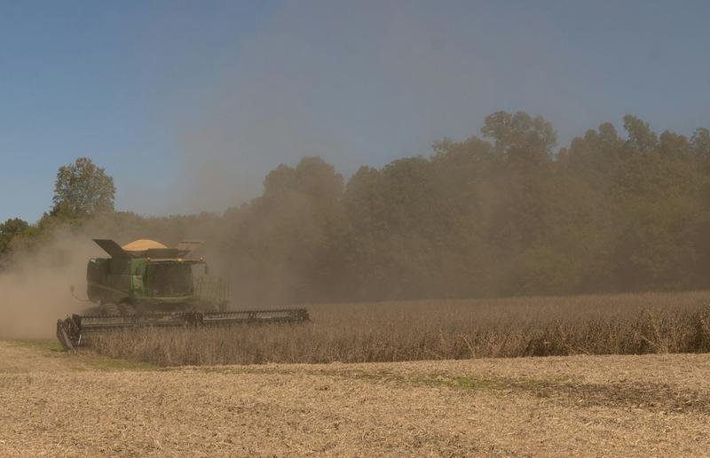 Farmers – long Trump backers – bear the costs of new tariffs, restricted immigration and slashed renewable energy subsidies Farmers – long Trump backers – bear the costs of new tariffs, restricted immigration and slashed renewable energy subsidies