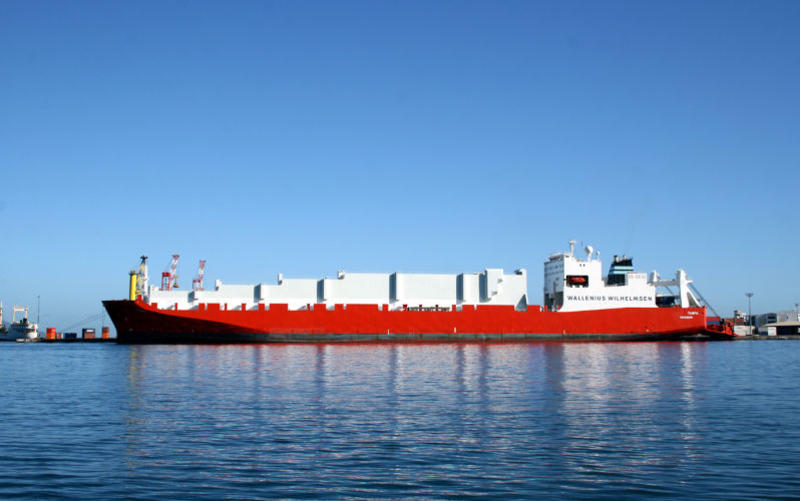 The shadow of the Tampa