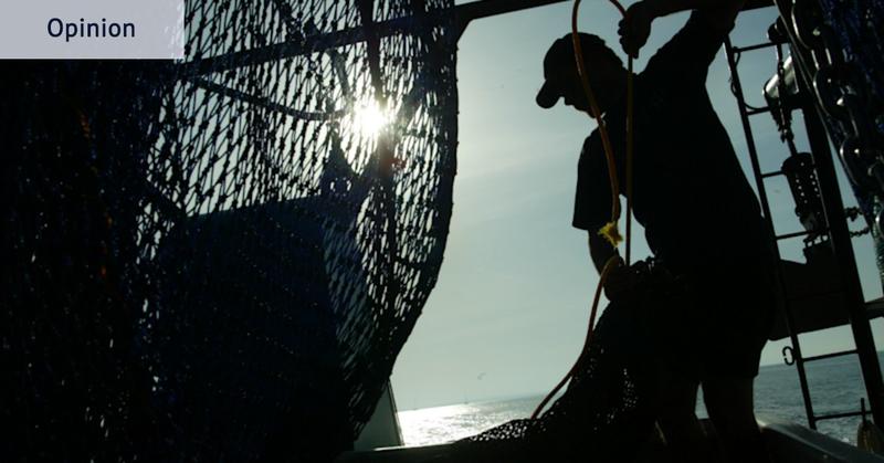 If Australia doesn’t fish for the future, we won’t be fishing in the future