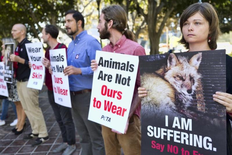 PETA’s politics couldn’t be further left