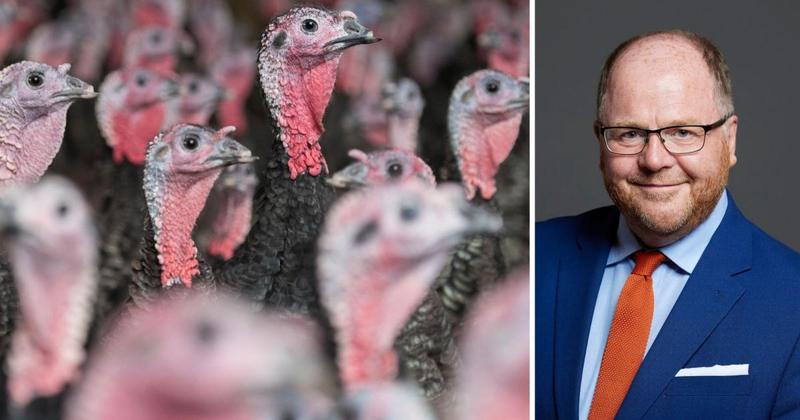 Precision breeding could help protect poultry from bird flu, says MP
