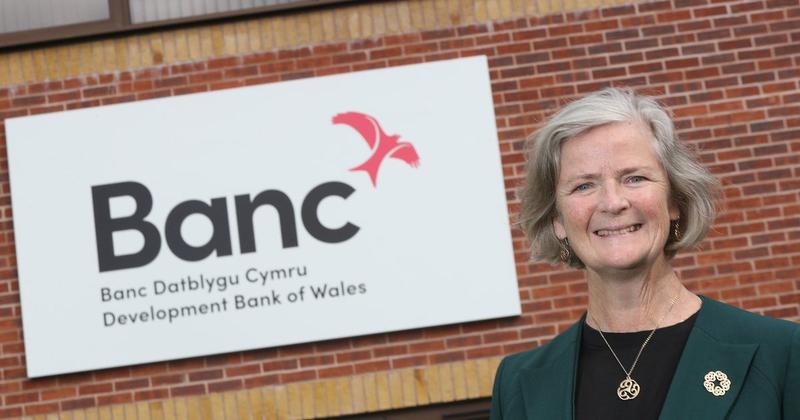 Chair of the Development Bank of Wales on its £1bn investment impact on the Welsh economy Chair of the Development Bank of Wales on its £1bn investment impact on the Welsh economy