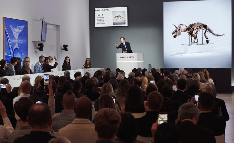 A Juvenile Triceratops and Francis Bacon Heat Up Phillips’s $67.3 Million Evening Sale A Juvenile Triceratops and Francis Bacon Heat Up Phillips’s $67.3 Million Evening Sale